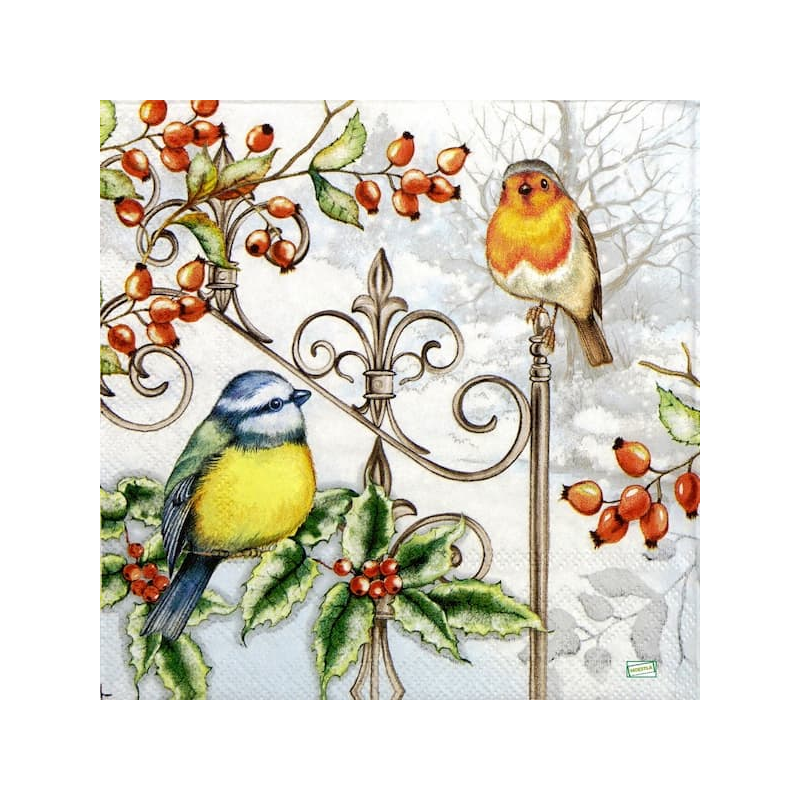 1serviette papier Oiseaux-67