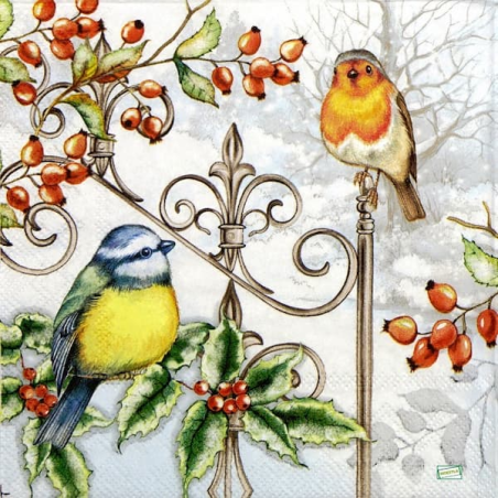 1serviette papier Oiseaux-67