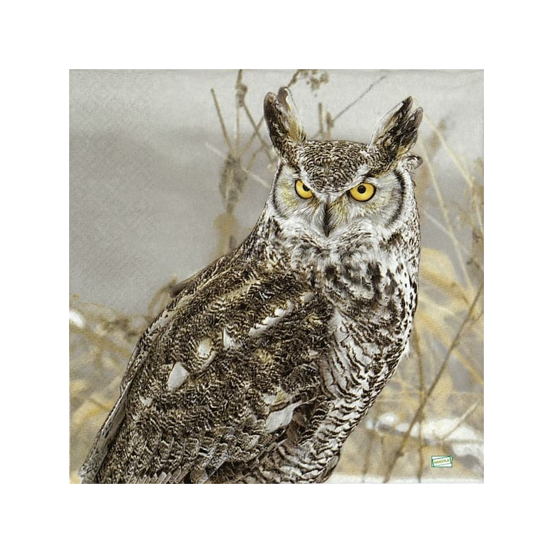1 serviette Le hibou -80