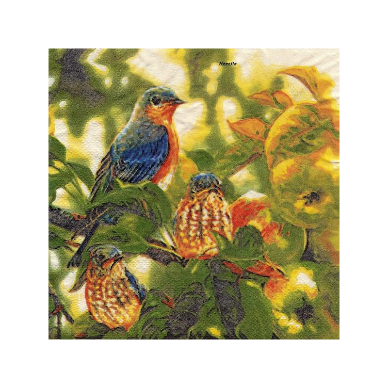 1serviette papier Oiseaux-89