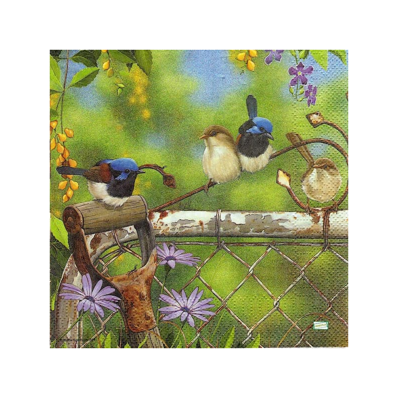 1serviette papier Oiseaux-108
