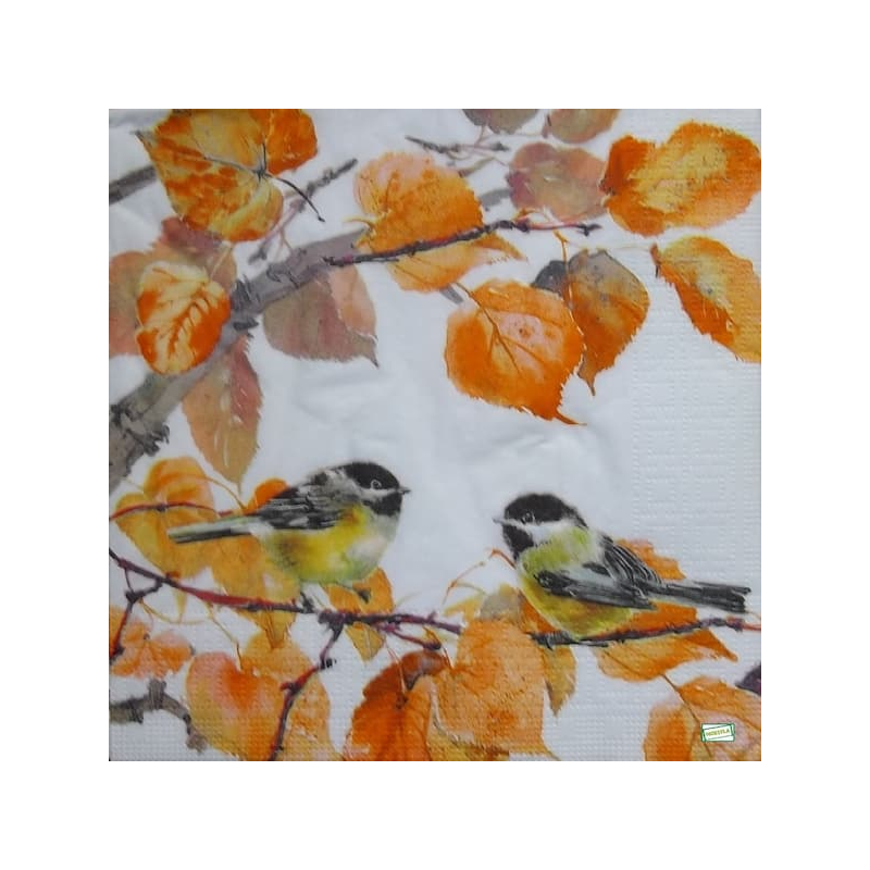 1serviette papier Oiseaux-115
