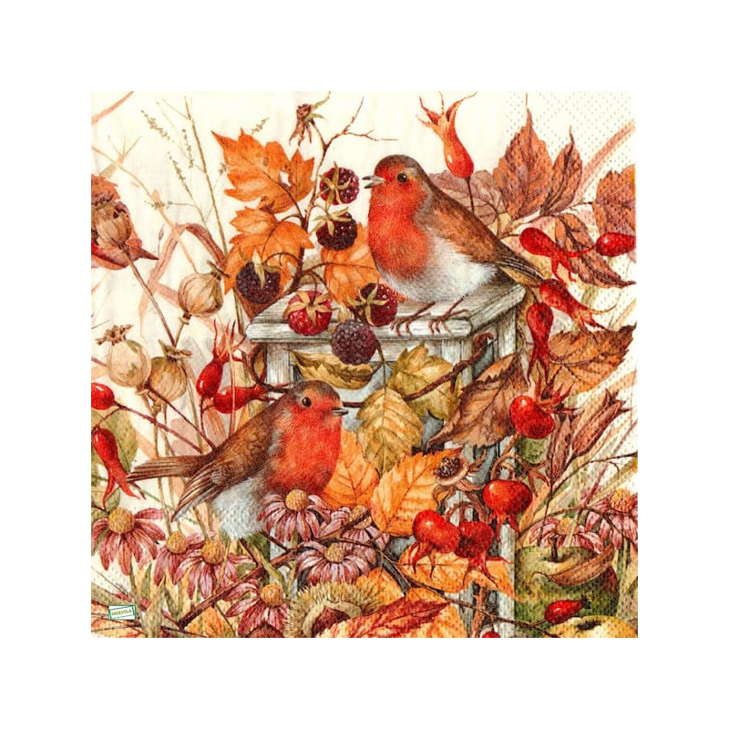 1serviette papier Oiseaux-131