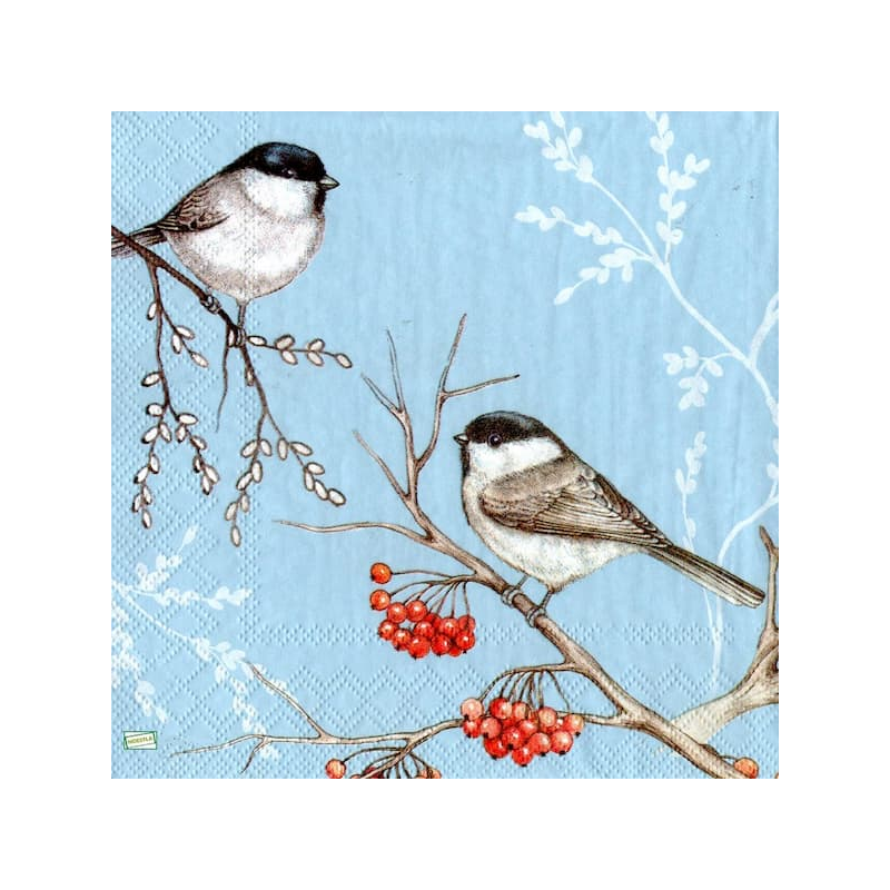 1serviette papier Oiseaux-132