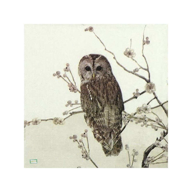 1 serviette La chouette -141