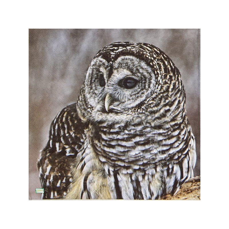 1 serviette La chouette -153