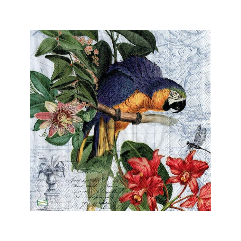 1 serviette Le perroquet-157