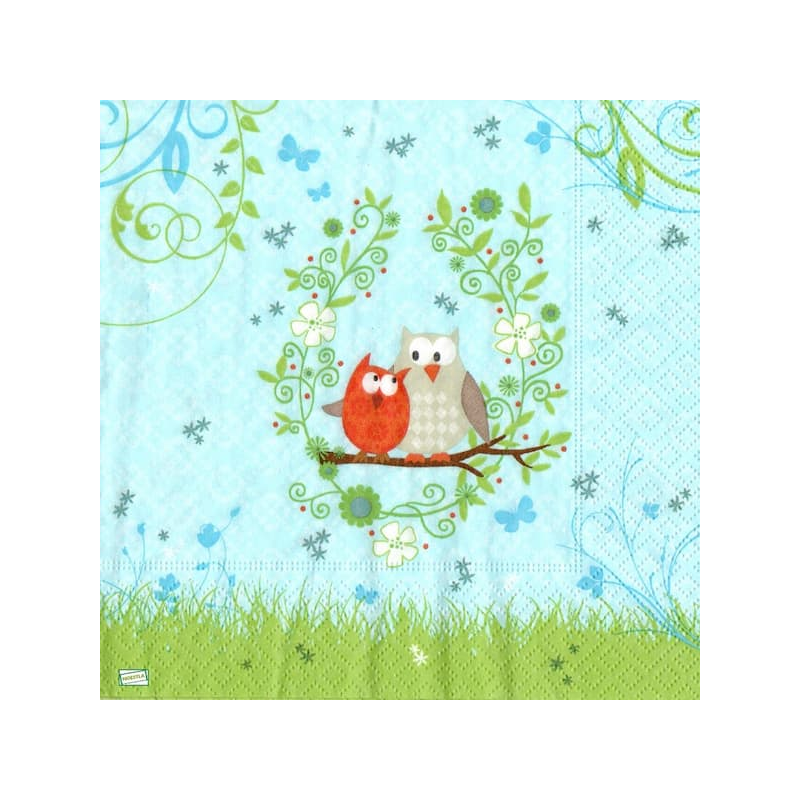 2 serviettes Les chouettes-167