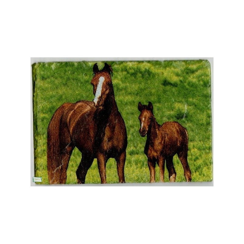 plaque déco ardoise Chevaux serviettage
