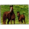 plaque déco ardoise Chevaux serviettage