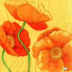 5 serviettes Coquelicots -43