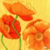 5 serviettes Coquelicots -43