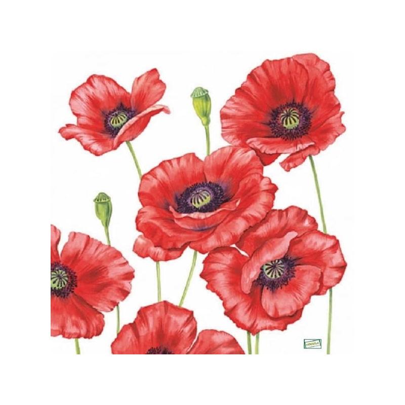 1 serviette Coquelicots -71