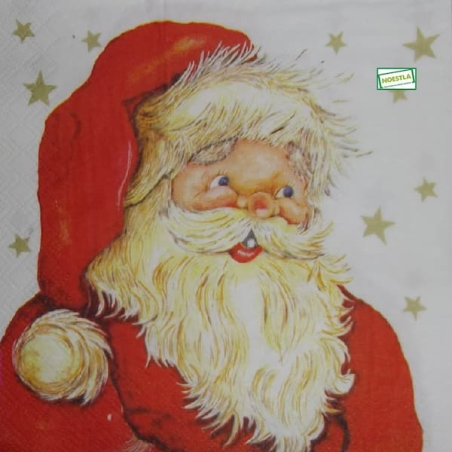 Scène enneigée,Paysage hivernal,Décor de neige,Tableau d'hiver,Horizons enneigés,la neige,découpage,collage,serviettage,flocons