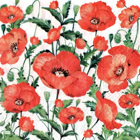 1 serviette Coquelicots -87