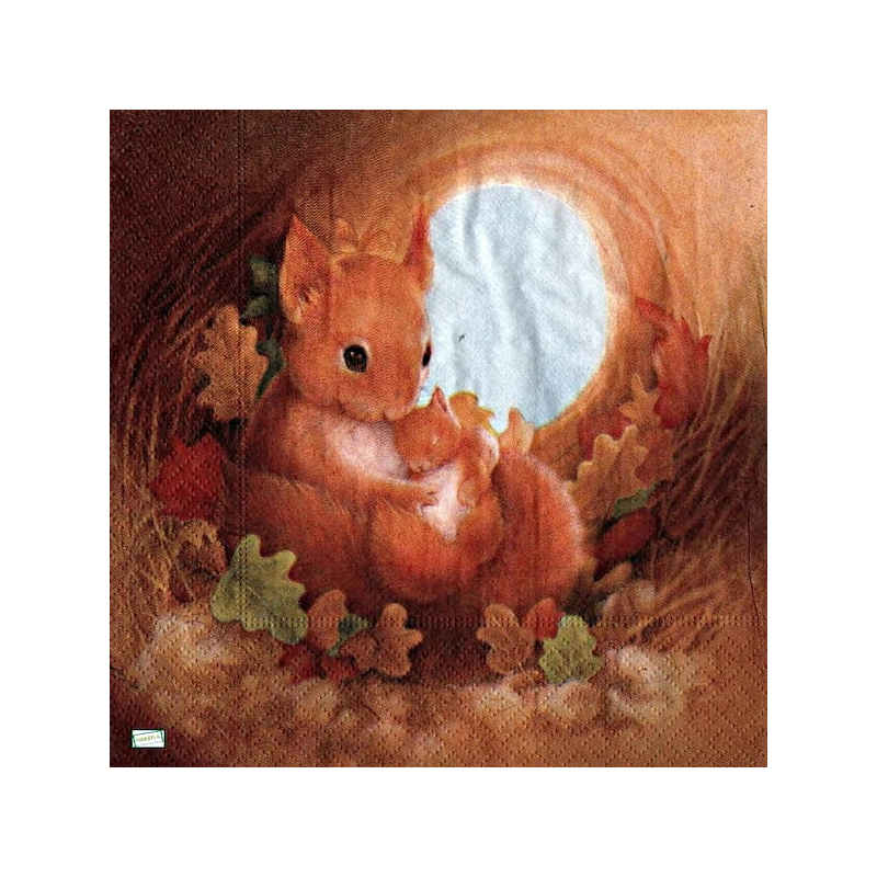 1 serviette L' écureuil -30