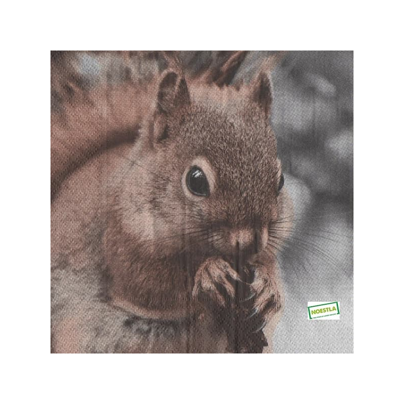1 serviette L' écureuil -47