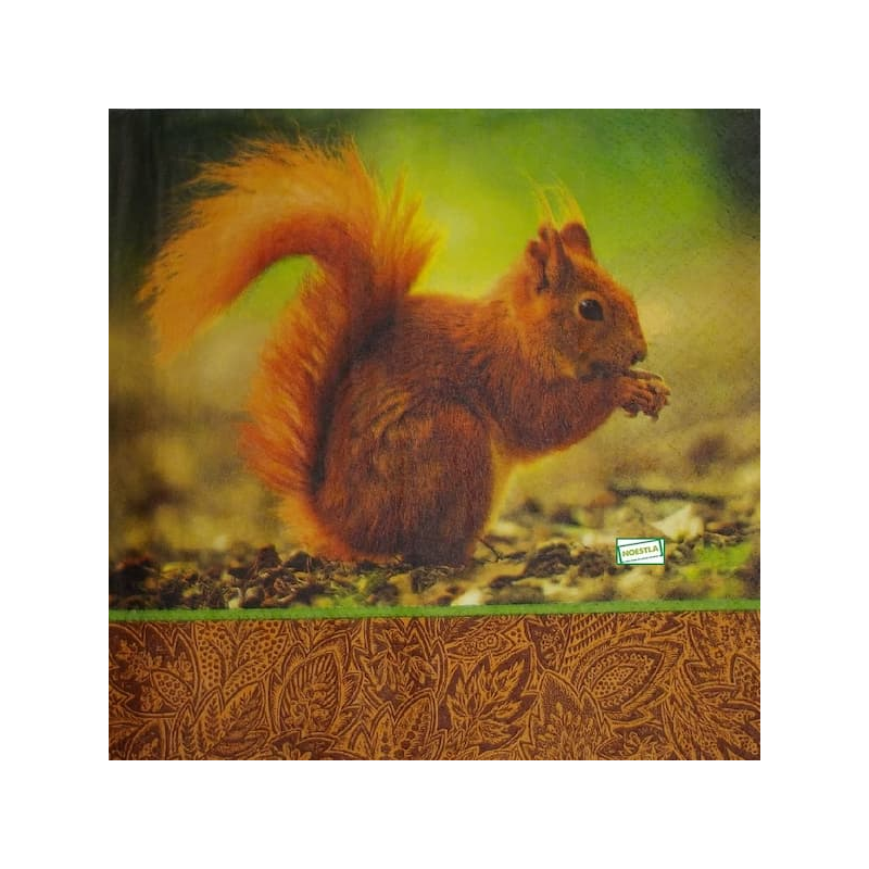1 serviette L' écureuil -64