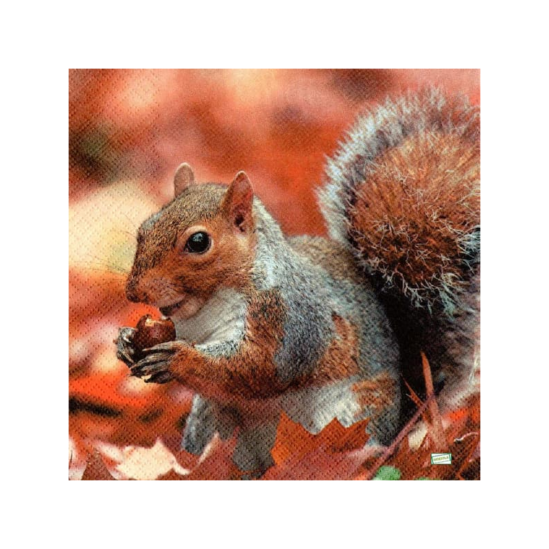 1 serviette L' écureuil -65