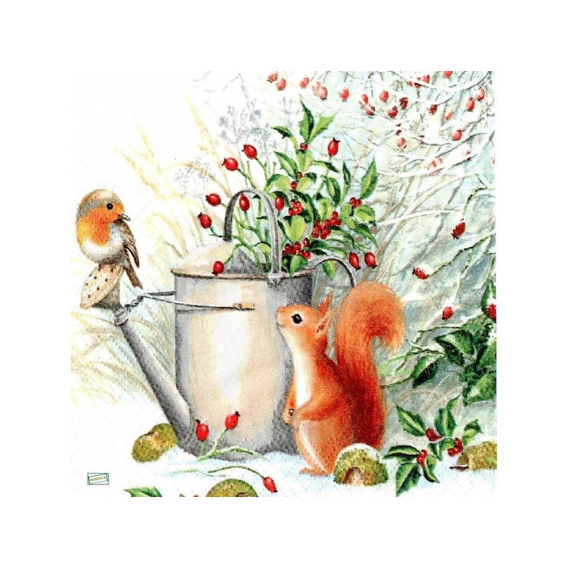 1 serviette L' écureuil -68