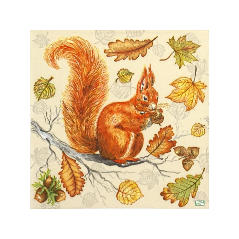 1 serviette L' écureuil -74