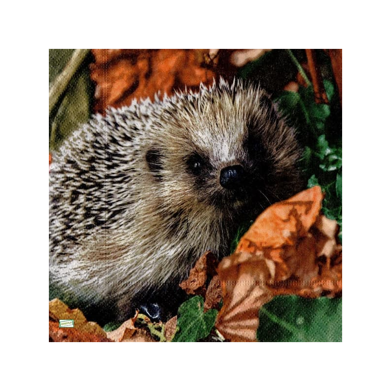 1 serviette Le Hérisson -75