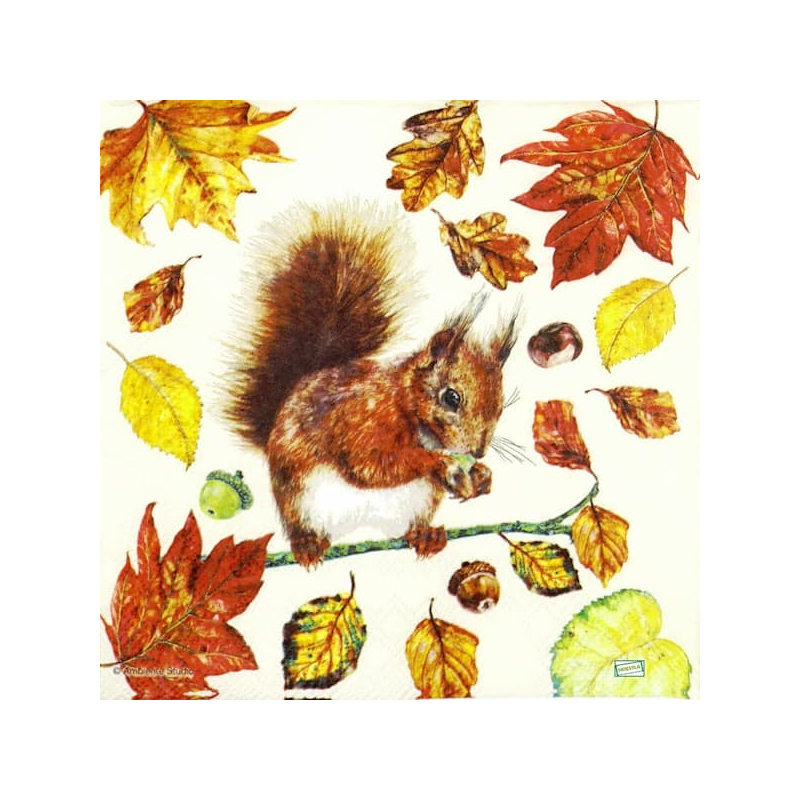 1 serviette L' écureuil -77