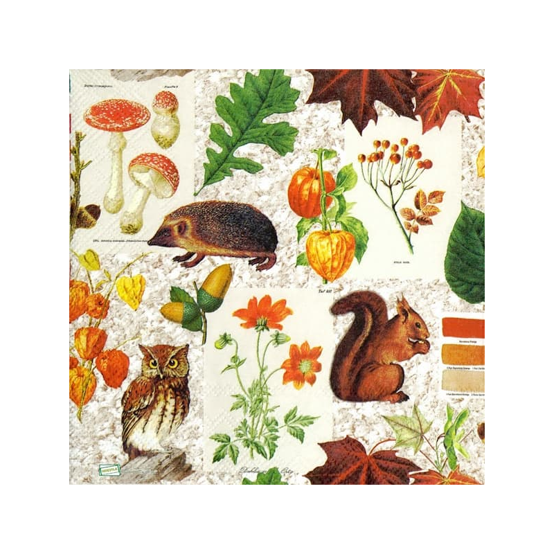 1 serviette Animaux bois -86