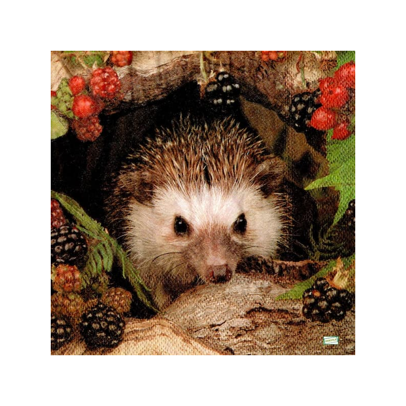 1 serviette Le Hérisson -93