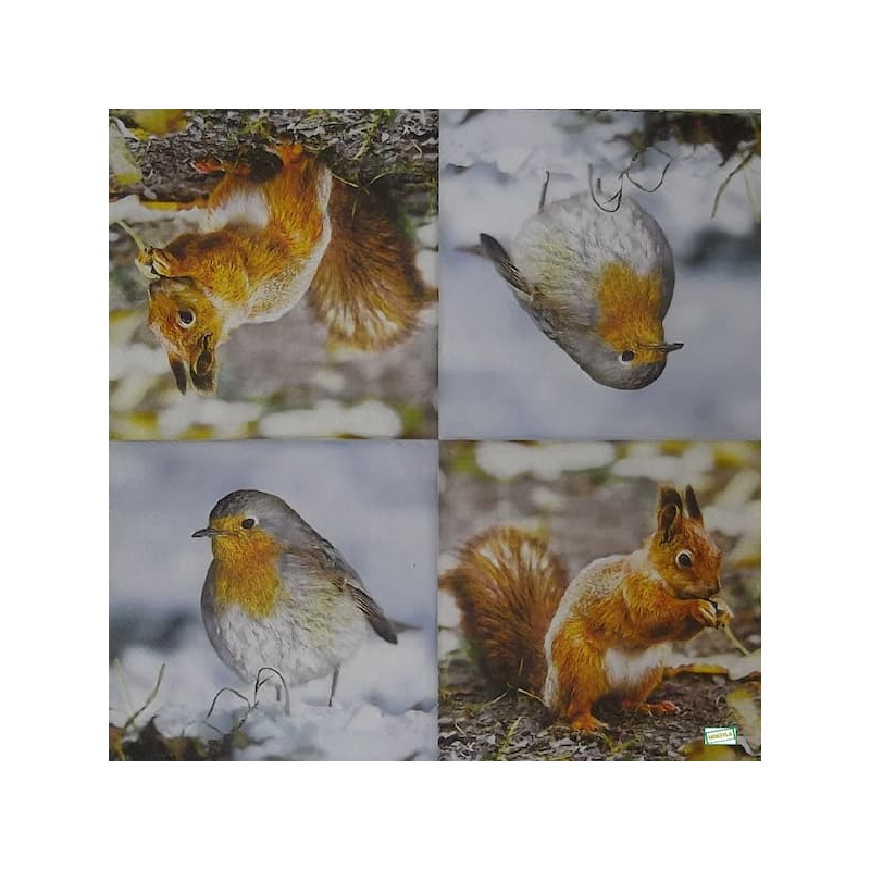 1 serviette L' écureuil -98