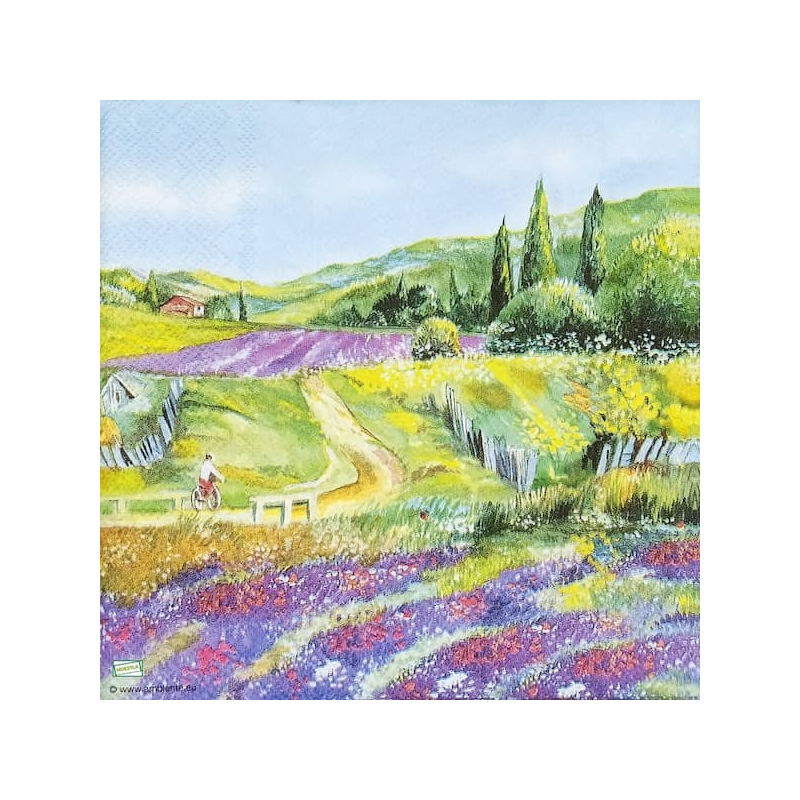 1 serviette papier Nature - 53