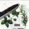 10serviettes papier Olives-7