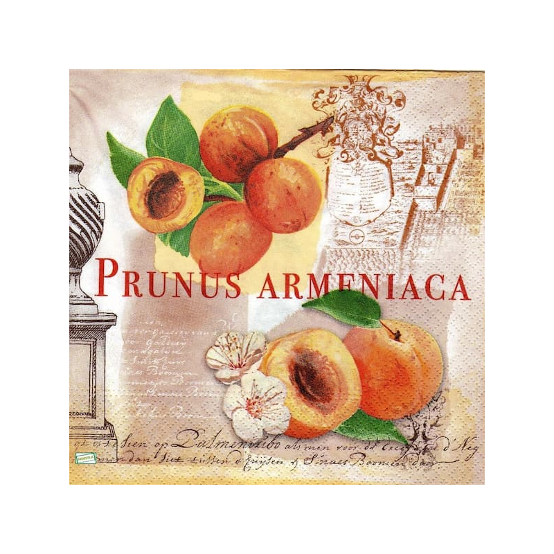 1serviette papier Abricots-19