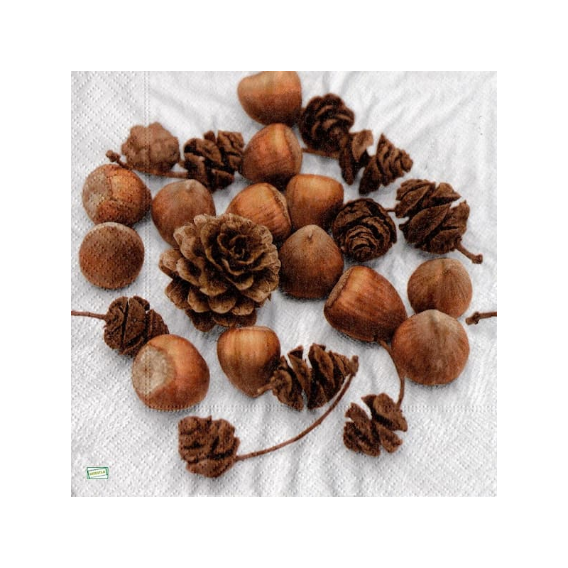 1serviette papier Noisettes-22