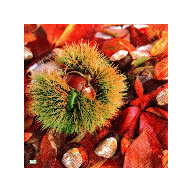 1 serviette Les Marrons -27