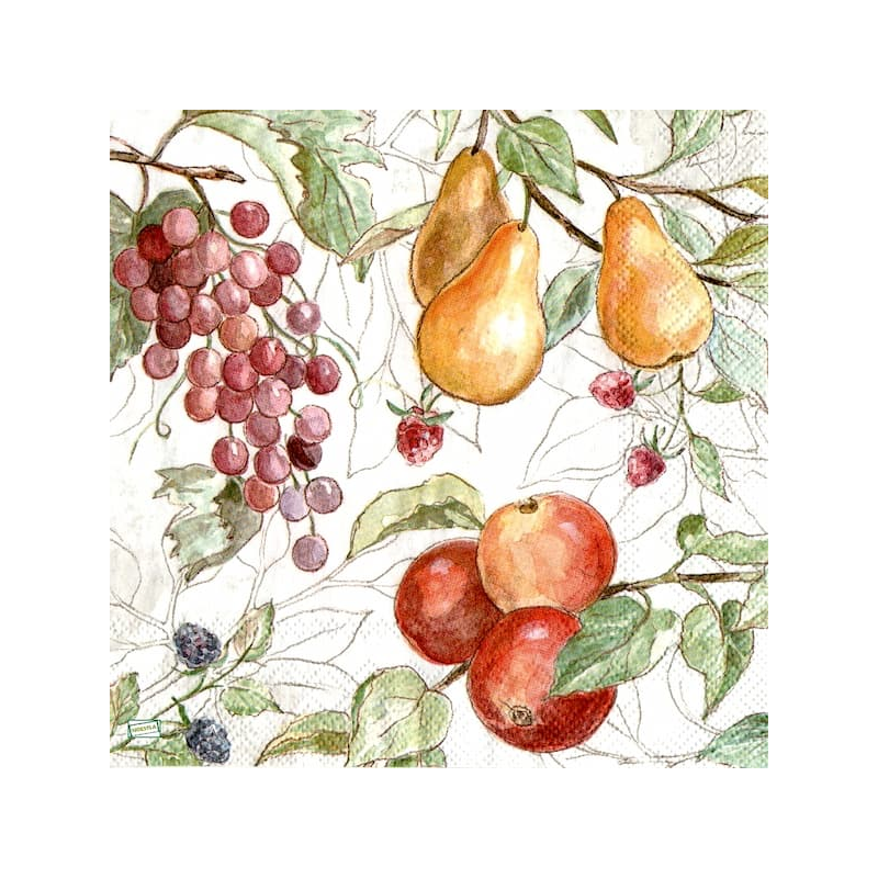 1serviette papier Fruits-28
