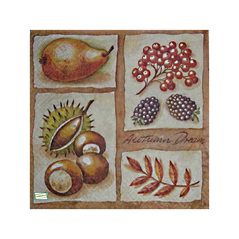 1serviette papier Fruits-41