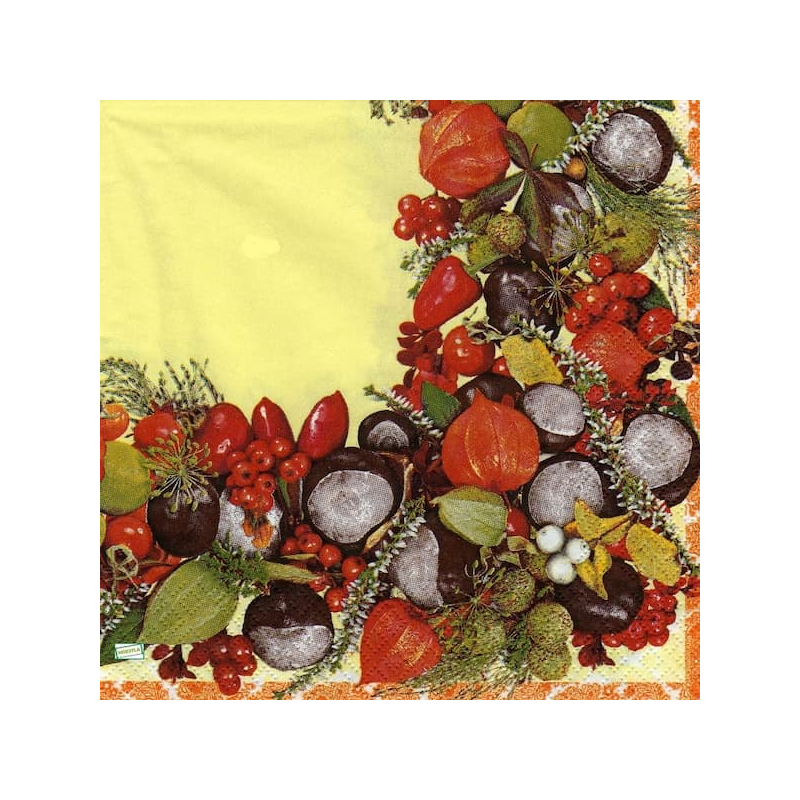 1serviette papier Fruits-46