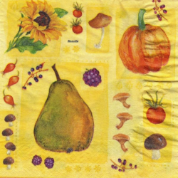 10serviettes papier Fruits-50