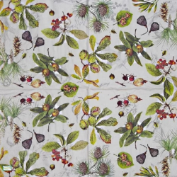 1serviette papier Fruits-76