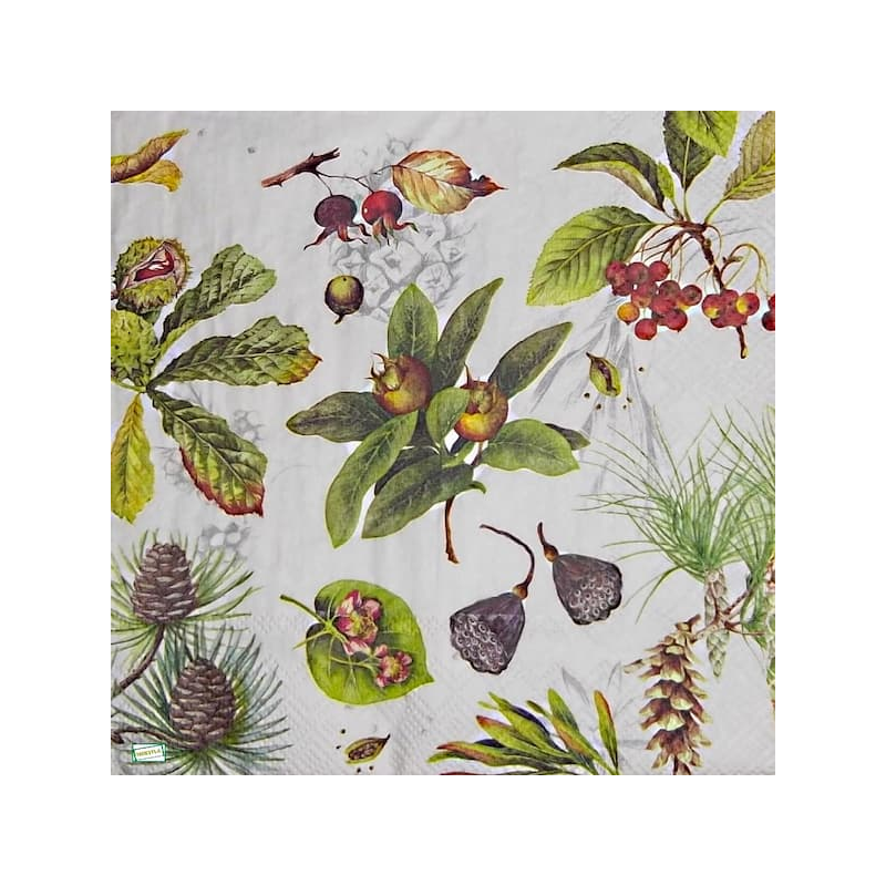 1serviette papier Fruits-76