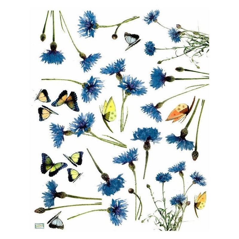 1papier riz Les Bleuets-R43
