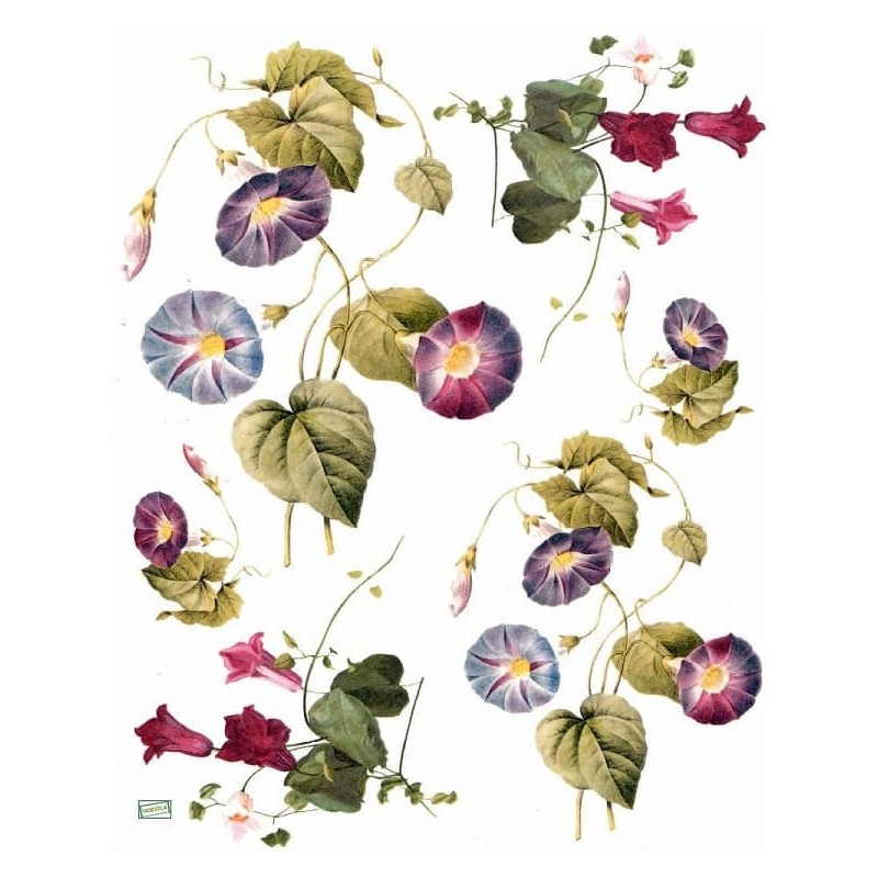 1papier de riz Liseron-R115