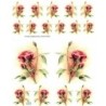 1papier riz Les Roses-R140