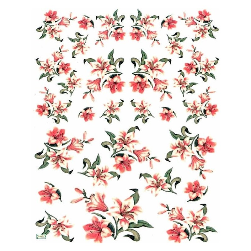 1papier de riz Les Lys-R150