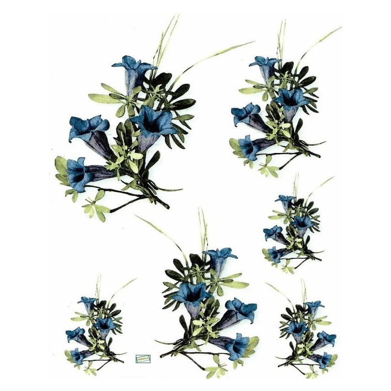 1papier de riz Fleurs-R166