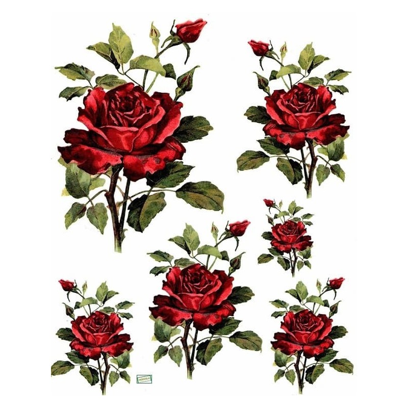 1papier riz Les Roses-R170