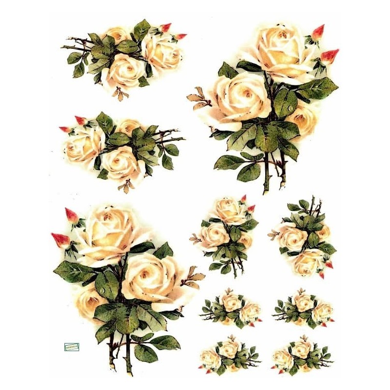 1papier riz Les Roses-R225