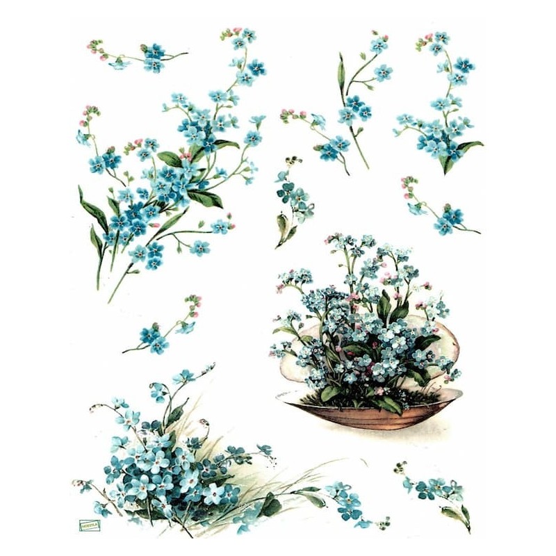 1papier de riz Myosotis-R245