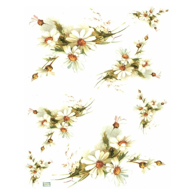 1papier riz Marguerites-R247